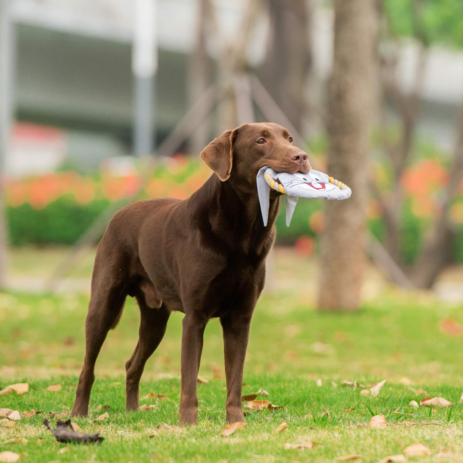 Looney Tunes for Pets Grey Bugs Bunny Dog Frisbee With Rope