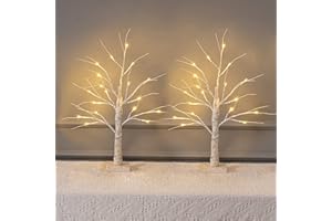 MEETYAMOR 2 Pack 24” 2FT Lighted Birch Tree with 18LT Warm White LEDs, Christmas Decorations Indoor Battery Powered Timer, Money Tree for Winter Party Wedding Table Mantel Home Easter Decor