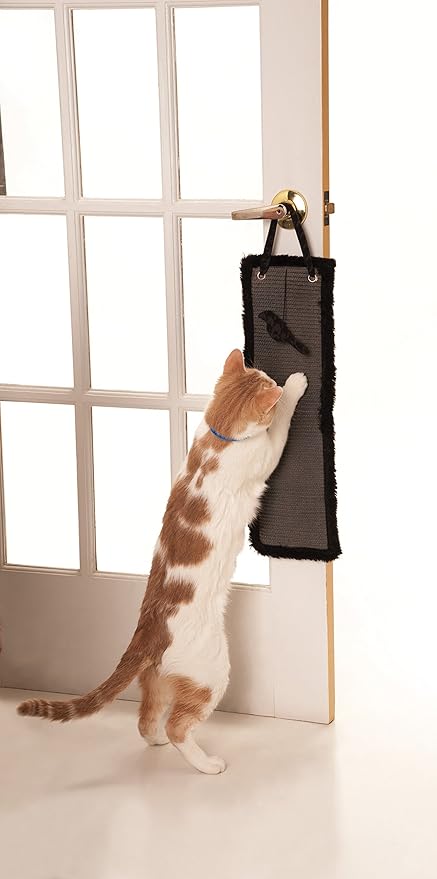 csb19 outdoor bark control