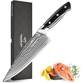NANFANG BROTHERS 8 Inch Chef Knife, 67 Layer VG10 Damascus Steel, Non-slip ABS Ergonomic Triple Rivet Handle, Black