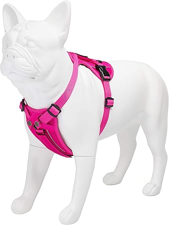 amazon best dog harness