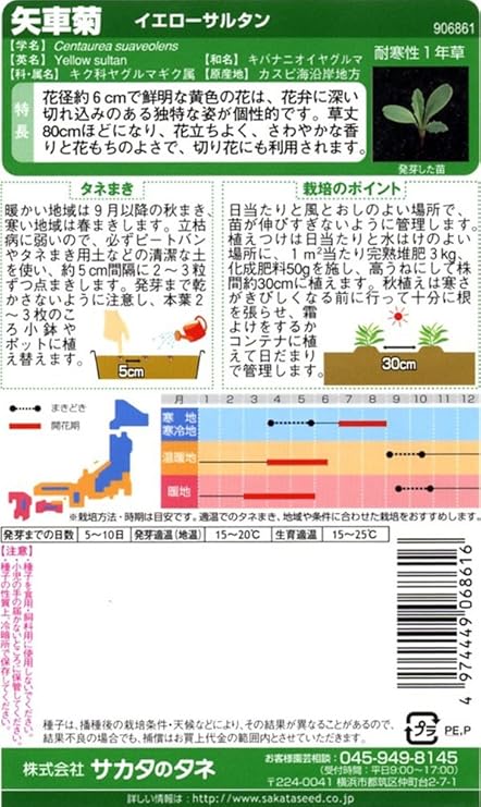 Amazon サカタのタネ 実咲花6861 矢車菊 イエローサルタン 花