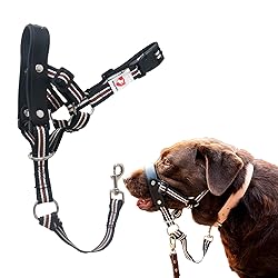 ALPHA BOY Dog Training HeadCollar – Comfortable
