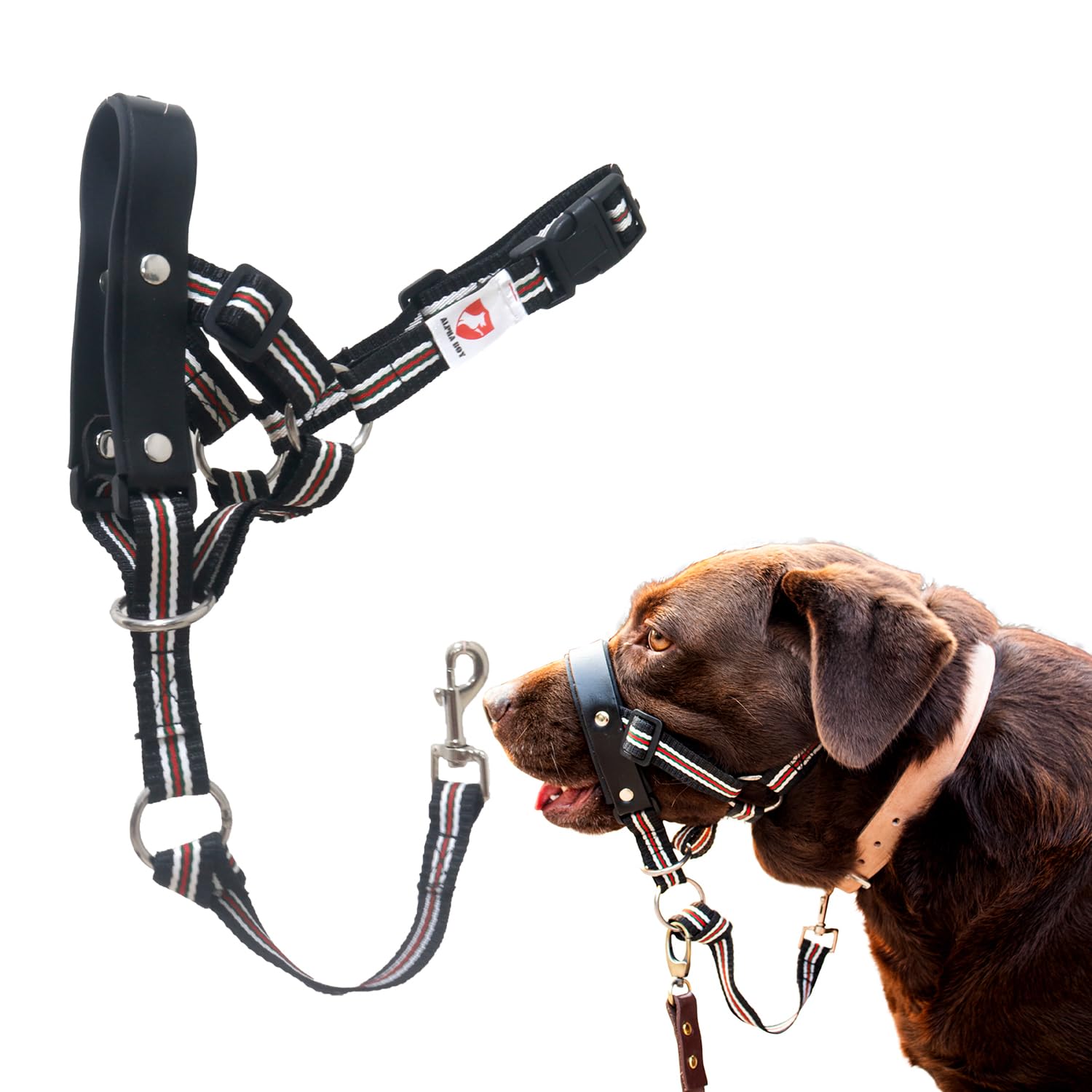 ALPHA BOY Dog Training HeadCollar – Comfortable
