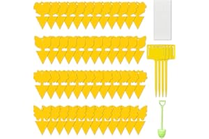 YUEQINGLONG 54 Pieces Sticky Fruit Fly Trap,Dual-Side Fruit Fly and Fungus Gnat Sticky Catcher Trap for Indoor Outdoor Fruit Fly,Fungus Gnats,Mosquito,Flying Insect Bug Pest,White Flies (Yellow-54 pcs)