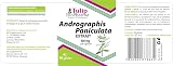Tulip Biopharma Andrographis Paniculata 400mg 90 Capsules 3rd Party Lab Tested view 4