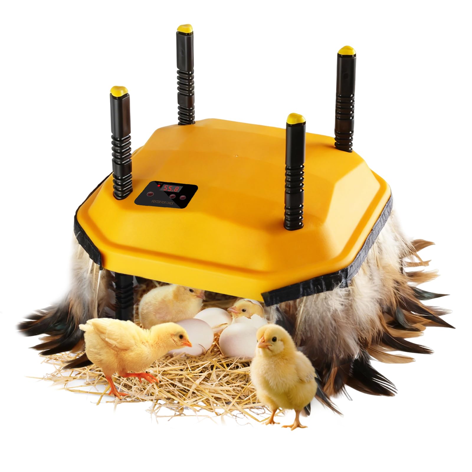 Photo 1 of 10 * 10inch Chick Brooder Heater Plate with Temperature Adjustable and Display,Adjustable Height & Angle Brooder Box for Baby Chicks Quail Duckling Chicken Heat Warmer Lamp Poultry Habitat Supplies
