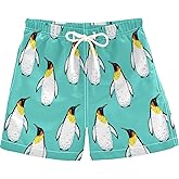 visesunny Boys Surfing Board Shorts Quick Dry Boys Swim Shorts s Swim Trunks Size from 2T to 14/16