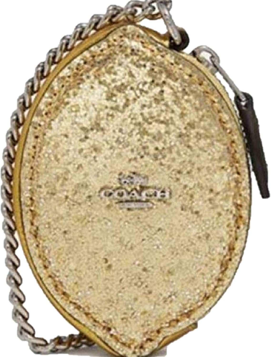 coach glitter purse