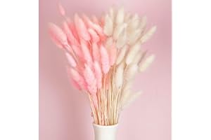 BEEXEED 120pcs Bunny Tail Pampas Grass Dried Flowers for Vase Boho Flowers Dried Babys Breath Wedding Decor Dry Flowers for Vase (White 60PCS+Pink 60PCS)