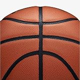 Wilson Evolution Basketball EMEA Brown 6 Unisex Evo Microfiber Composite view 4