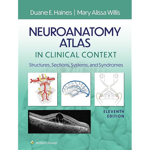 Amazon.com: Fundamental Neuroscience (Squire,Fundamental