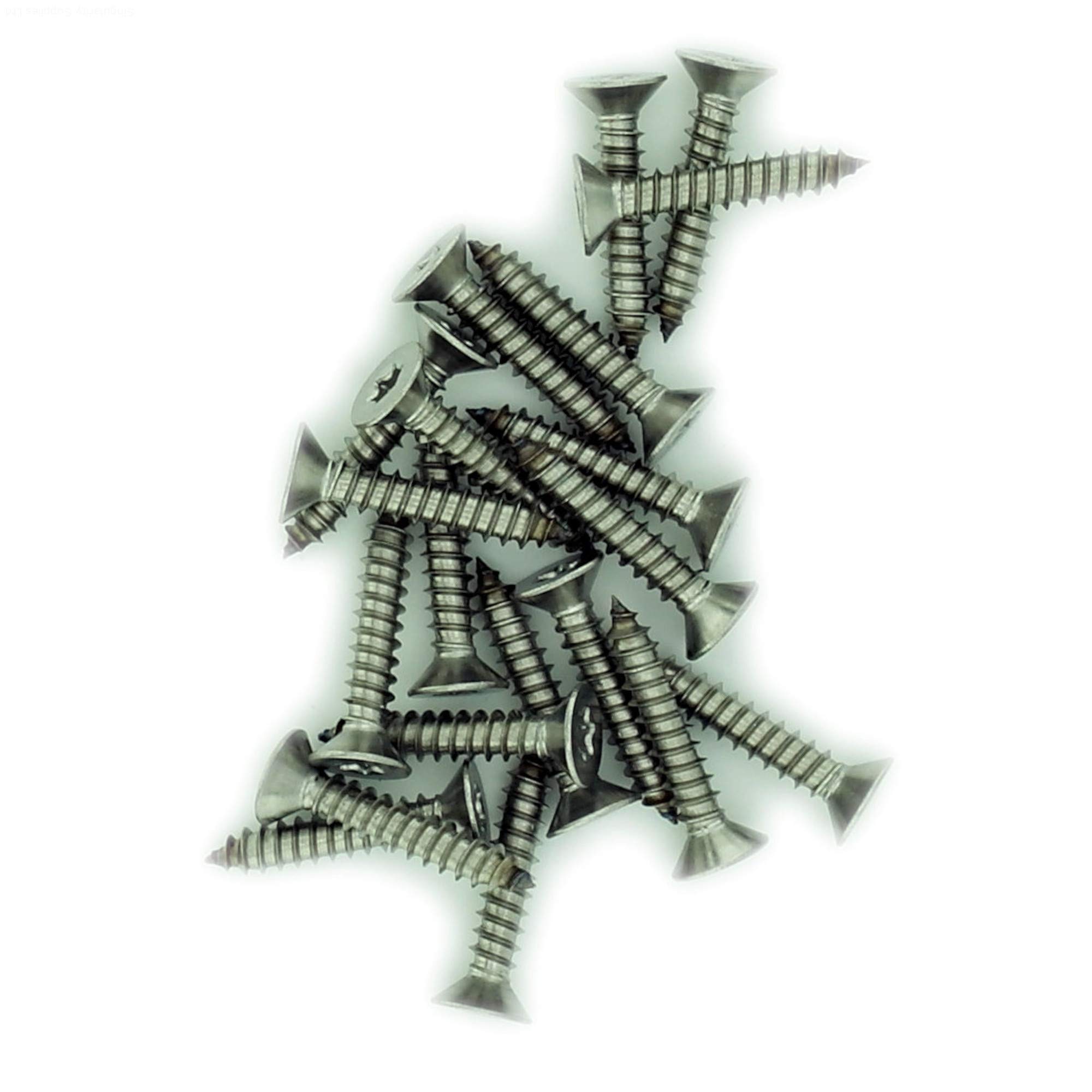 No.12 x 2.175 (5.5mm x 55mm) TX Countersunk Self-Tapping Screw - Stainless Steel (A2) (Pack of 20) — image 1