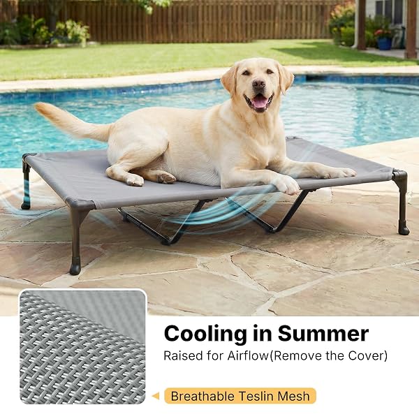 VEEHOO COOLING ELEVATED DOG BED ADD REMOVABLE WATERPROOF BOLSTER CUSHION MAT, RAISED PET COT WITH BREATHABLE TESLIN MESH, NO-SLIP FEET, DOG COUCH BED FOR INDOOR OUTDOOR, 59X37.5INCHES, GREY, CWC2331B