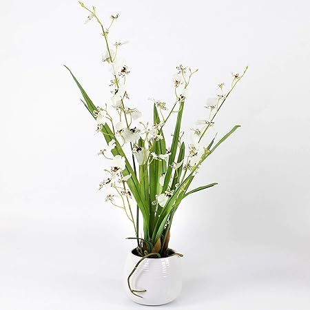 Artplantsde Orchidée Oncidium Décorative En Pot 2 Tiges Blanc Marron 50cm Orchidée Artificielle Fleur En Tissu Déco