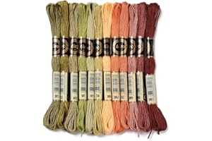 CABODYALS 12 Skeins 105 Yards Embroidery Floss Thread Bulk Variegated Floss 6 Strands Green Orange Friendship Bracelet String