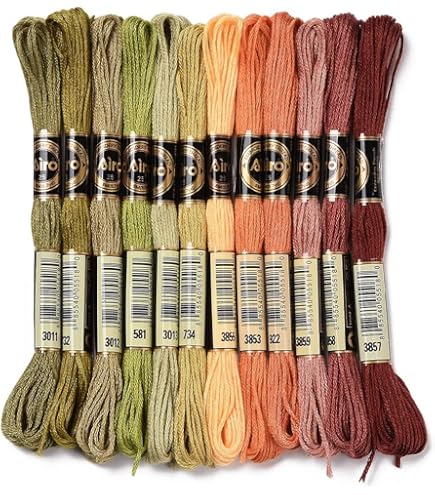 Fil à Broder Coloré Arc-en-ciel - 18 écheveaux Dégradés Pour Bracelets D'amitié, Point De Croix Et Couture - 144 Mètres De Fil Polyester Résistant