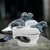 Pigeon Holder Feeding Fixer Parakeet Supplies for Racing Birds view 2