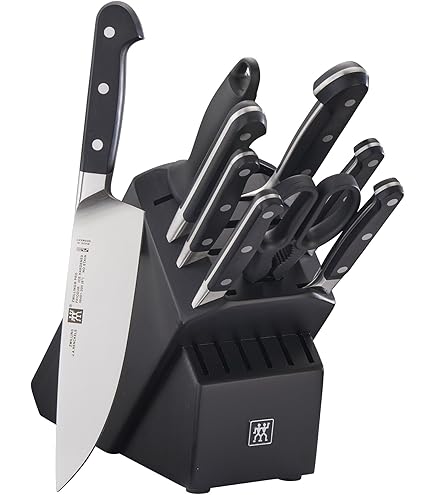 Amazon.com: Global 10 Piece Takashi Knife Block Set - Lightweight