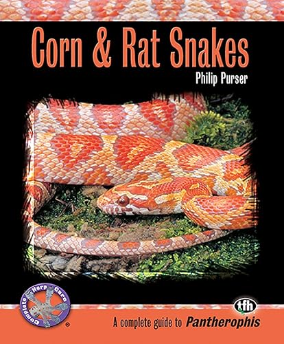 Download Corn & Rat Snakes PDF
