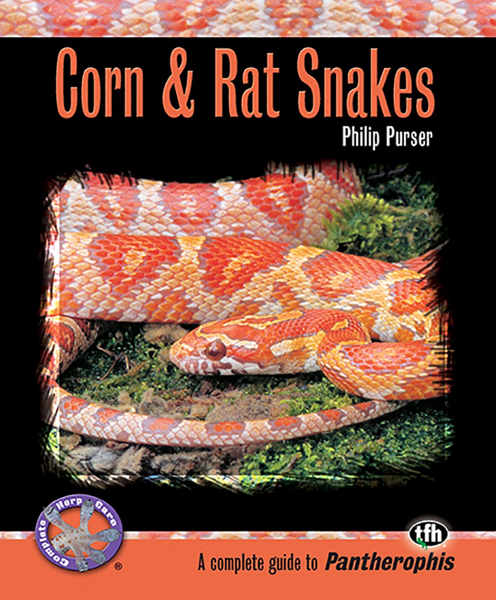 Corn and Rat Snakes (Complete Herp Care)