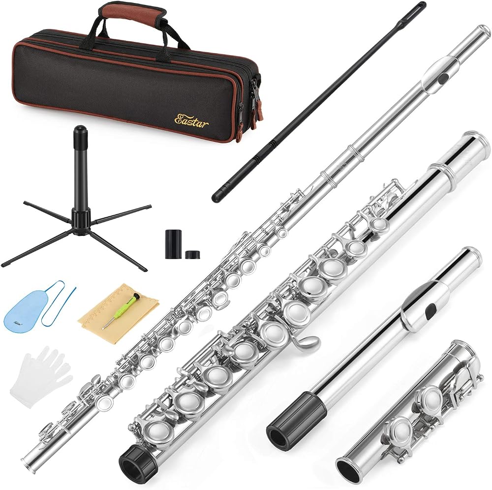 Eastar EFL-1 Closed Hole Flute 16 Keys Beginner Kit with Case Stand Cleaning