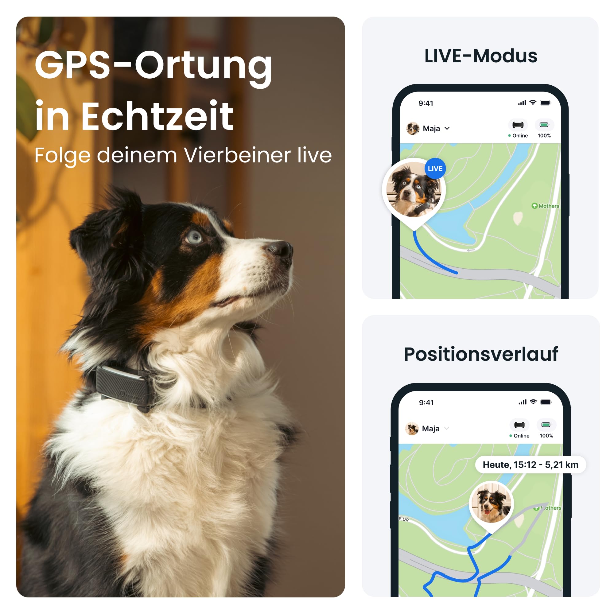 Tractive GPS Tracker Hund | 2025 Edition | Live-Ortung | Weglaufalarm | Aktivitätstracking | Gesundheitswarnungen | Bellverhalten | Empfohlen von Martin Rütter (Schwarz) 2