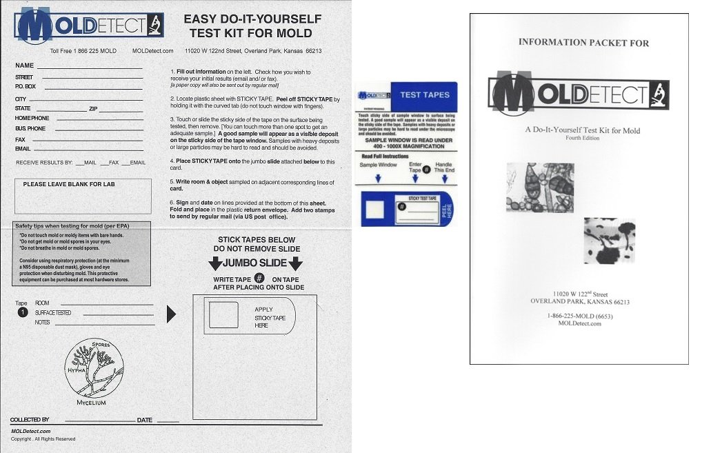 MOLDetect Accredited One Sample Mold Test Kit Review
