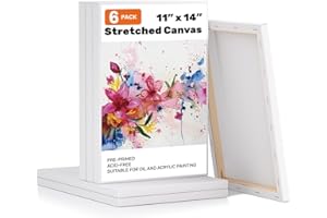 MiniTeasure 6 Pack 11x14 Stretched Canvases for Painting, 100% Cotton Blank Paint Canvas, Art Canvases for Artists, Beginners for Acrylic Pouring, Oil Paint