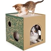 Cat Cardboard House with 2 PCS Scratching Pads，Large Cat Scratcher Bed Cat Scratchers Lounge for Indoor Cats with Corrugated Board Detachable Cat Scratcher Box for Cats. (Green Graffiti)