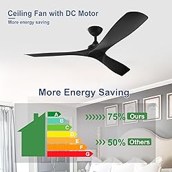 BvenuBigLite Black Ceiling Fan for Indoor: 3 Blades