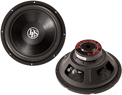 dls 12 subwoofer