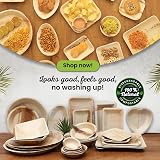 Eco Leaf 25 Disposable Palm Leaf Plates 10in Large Square Oven Safe Eco view 7