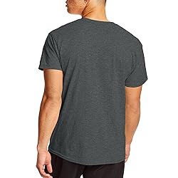 Hanes mens 2 Pack X-temp Performance T-shirt