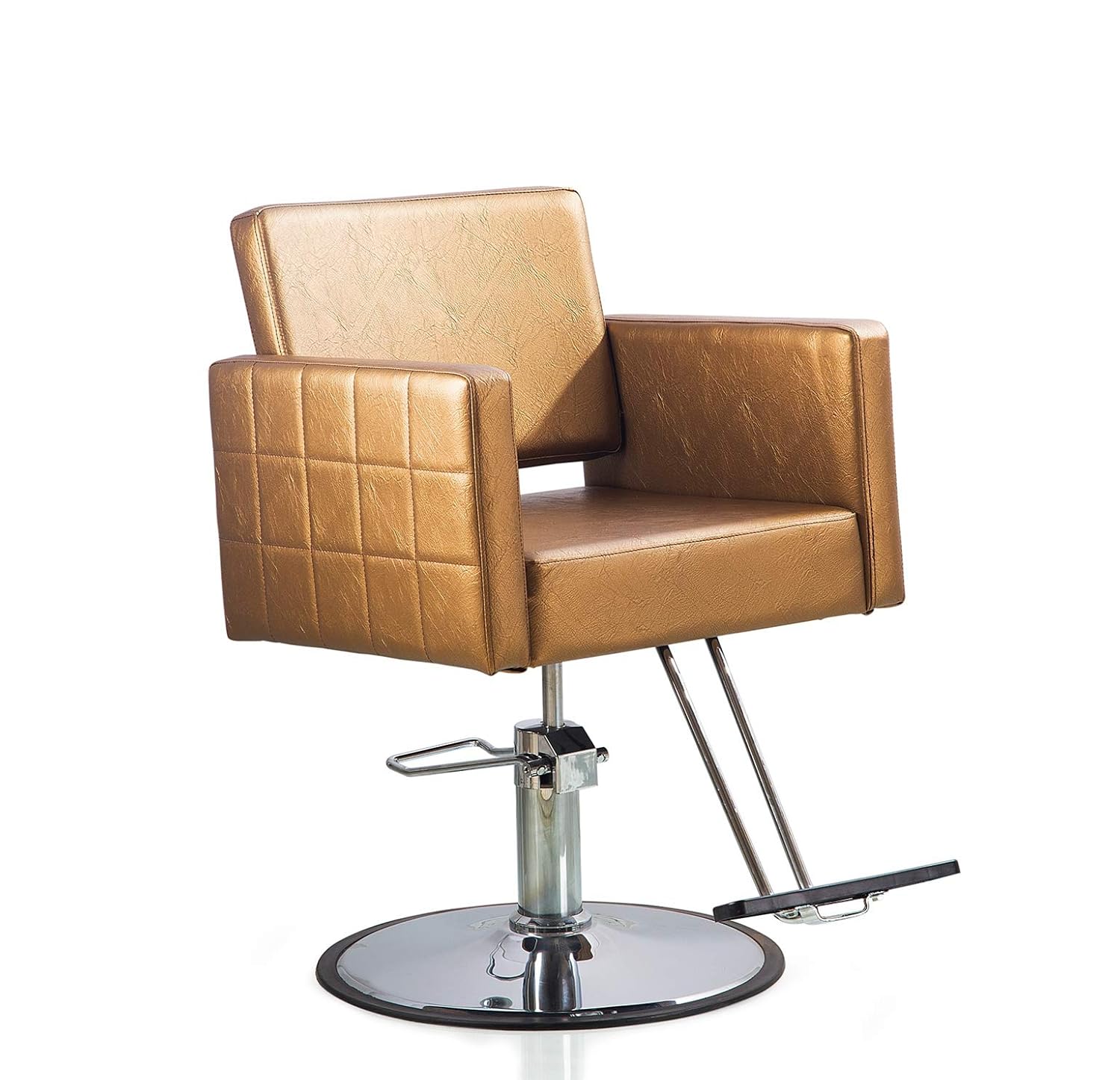 Beauty Style Salon Beauty Chair for Hair Stylist Barber Chair Gold Round Base