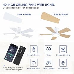 Ceiling Fans with Lights,Modern Low Profile Ceiling