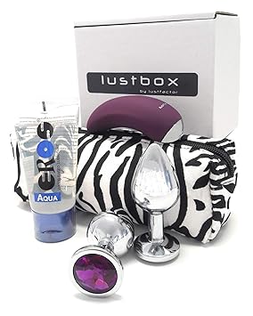 Lustfactor LUSTBOX | Das tolle Lovetoy-Set mit der VENUS | G-Punkt + Auflegevibrator, Analplug, Gleitgel, Secret-Bag im Zebra