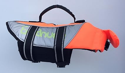 Salty dog life jacket Clearance