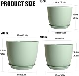 PROFIKLA Plastic Plant Pots Set 20/18/16 cm with Drainage Holes and Saucers view 2