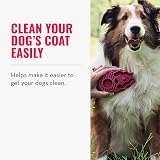 KONG ZoomGroom Red Dog Brush for Grooming and Shampooing for Large Dogs view 2