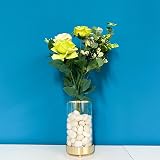 FANTIAN 2 Lbs White Pebbles 20-30 mm Decorative Stones for Plants Pots view 5