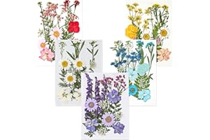 THE KING HIS QUEEN 80 Pieces Real Dried Pressed Flowers,Mixed Multiple Dry Flower set for DIY Candle,Soap Resin Jewelry Nail 