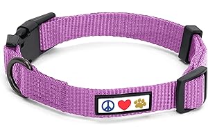 Pawtitas Medium Solid Color Collar - Adjustable Puppy Collar in Orchid Purple - Matching Leash and Harness Available
