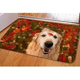 Best outdoor doormat Best outdoor doormat
