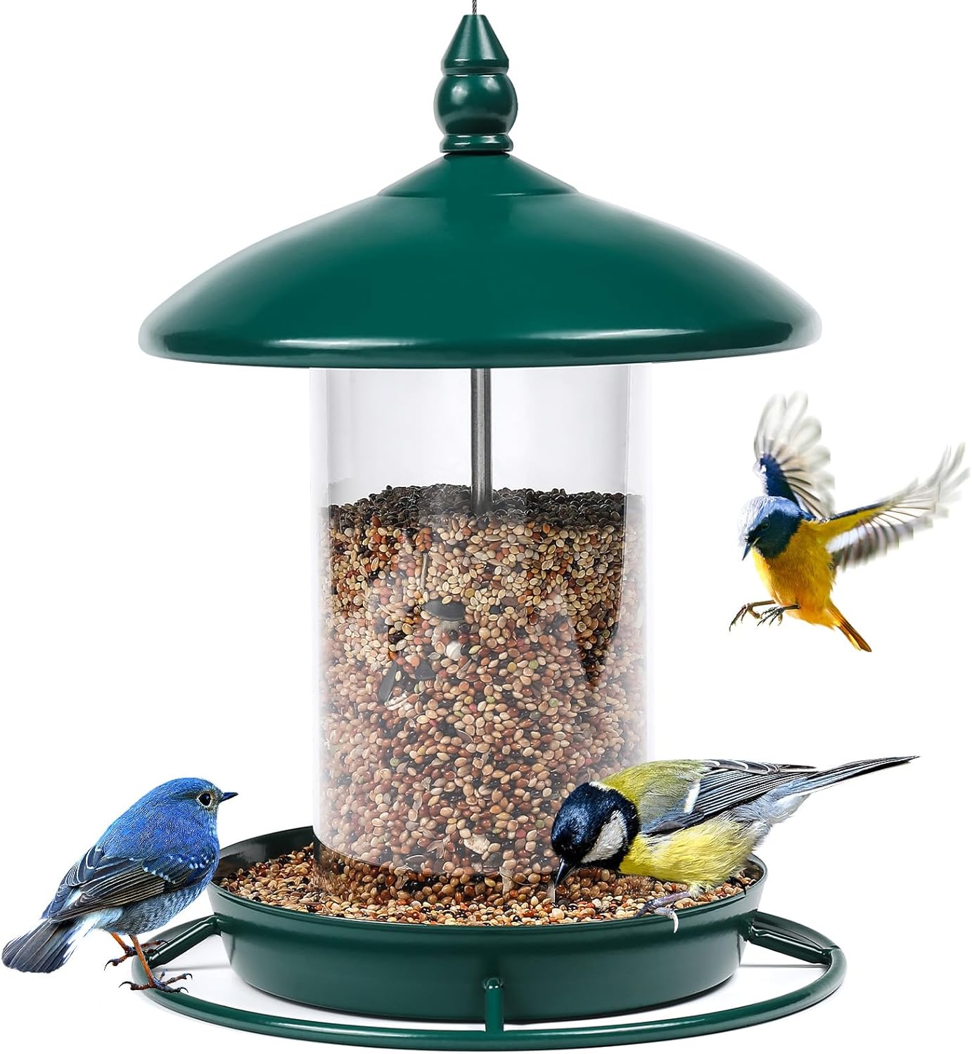 Backyard Birding & Wildlife - Bird Feeders for Outdoors Hanging. Weather Resistant Hanging Wild Bird Feeder. Easy to Clean & to Refill and Comes with a S Hook. Green