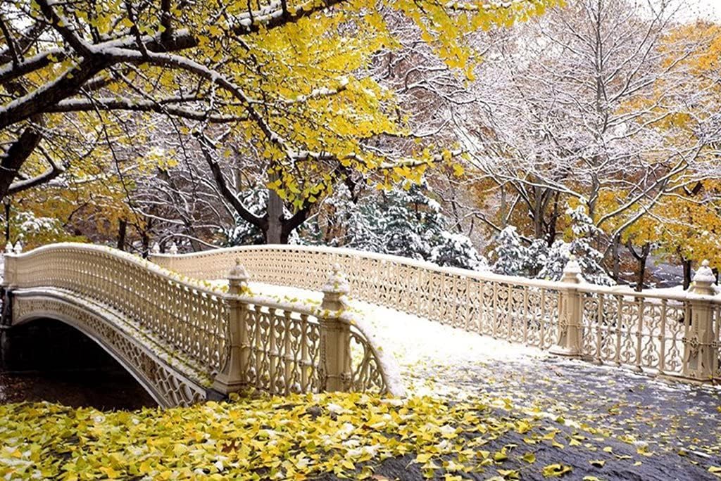 Amazon Co Jp A0 特大 ポスター 橋公園紅葉雪 壁紙ウォールステッカーポスター A0 11x841mm Generic