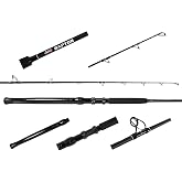 Jigging World Raptor Casting Rod