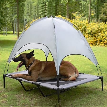 dog cot amazon