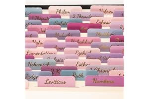 Lumintutu Laminated Bible Tabs, Large Print Bible Study Journaling Supplies, Christian Gift for Women and Men, Index Tabs for Old and New Testament, She Reads Truth Bible (Purple Pink)