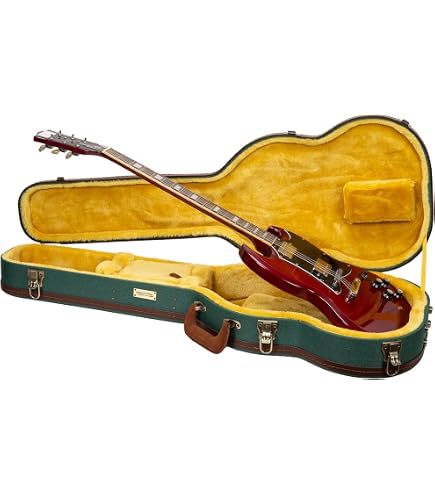 Epiphone Case for Epiphone Les Paul Standard & Custom Case